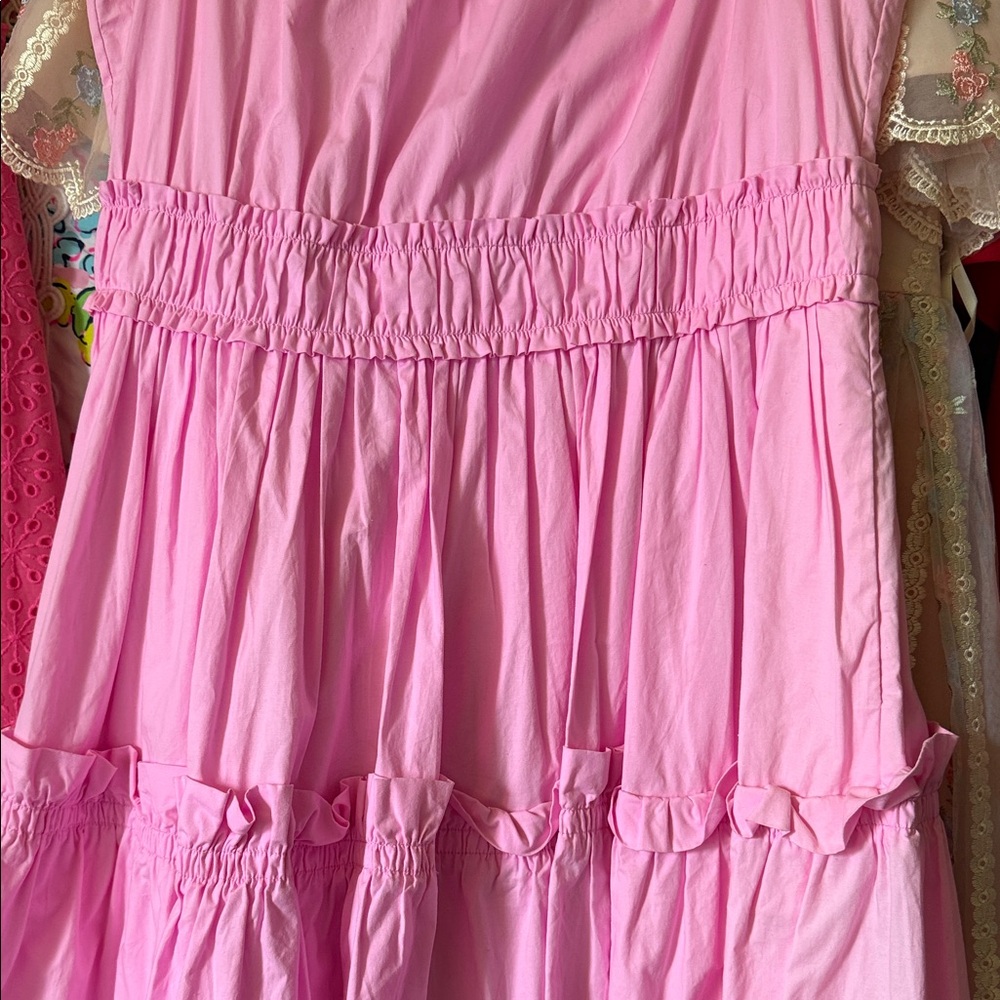 Lily Pulitzer Pink Sleeveless Dress - Picture 4 of 5